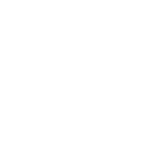 logo feel it